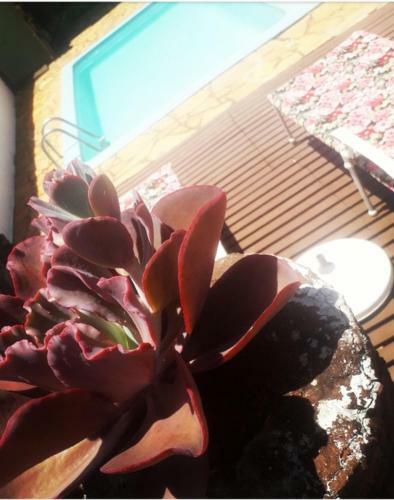 Hostal Pousada 4 Cora��es