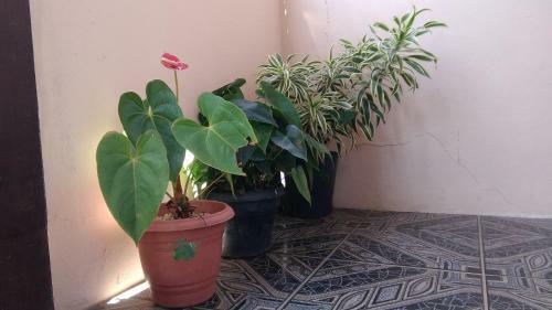 Casa R�