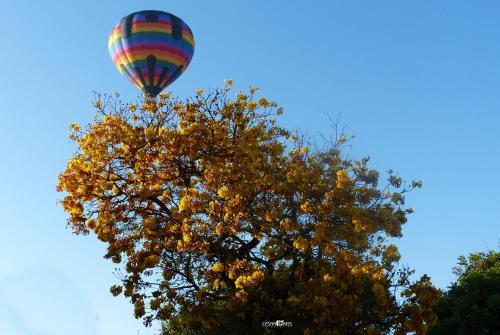 Hotel Caviuna Pouso Rural