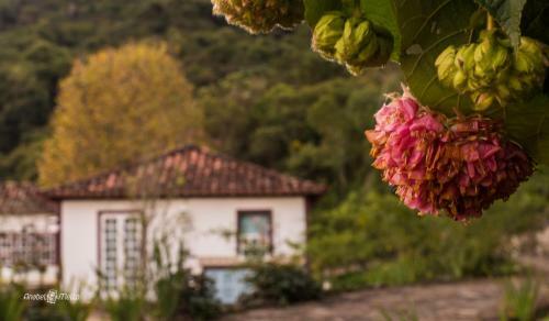 Hotel Caviuna Pouso Rural
