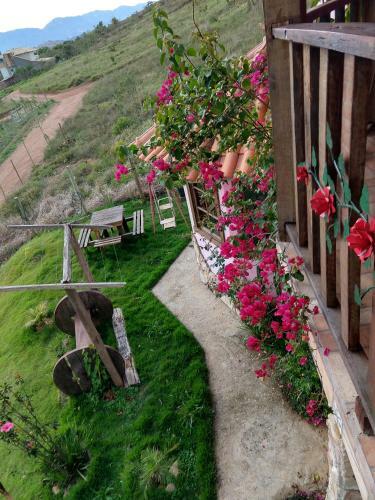 Bed & Breakfast Resid�ncia Balestra