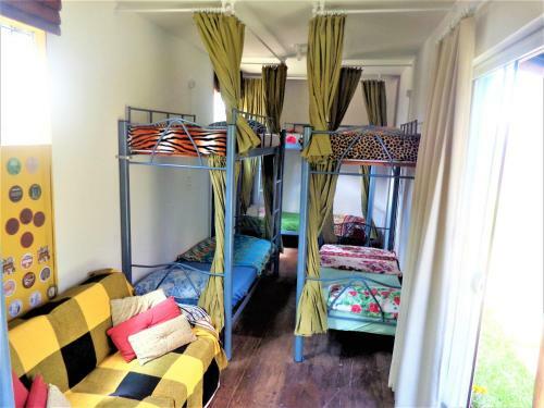Hostel Tribos Livres