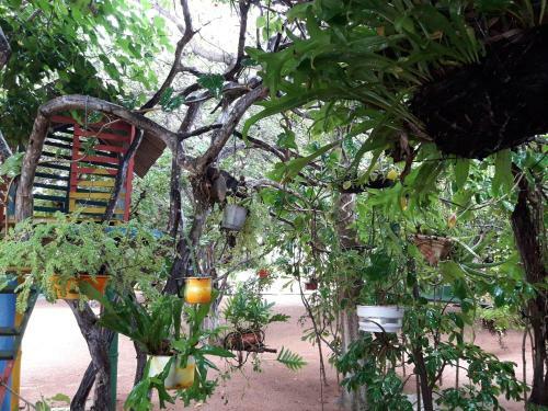 Hostal Urca Do Tubar�o