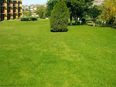Hotel Parador Zacatecas
