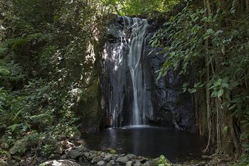 Hotel Borinquen Mountain Resort And Spa