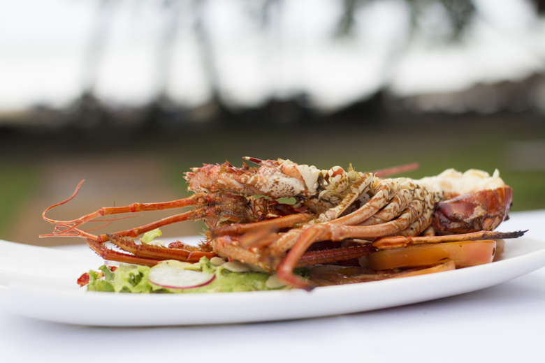 Hotel Le Cameleon Boutique Resort
