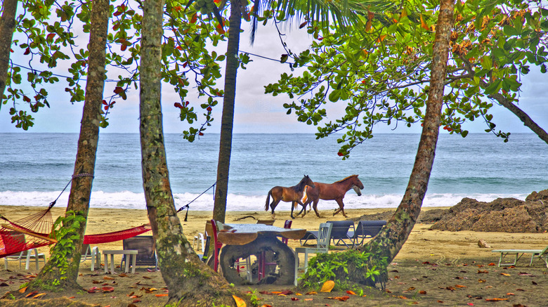 Hotel Le Cameleon Boutique Resort