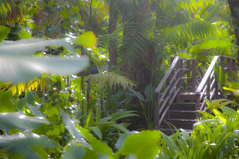 Hotel Le Cameleon Boutique Resort