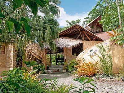 Hotel Tree House Lodge