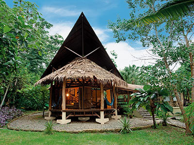 Hotel Tree House Lodge