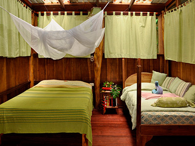 Hotel Tree House Lodge