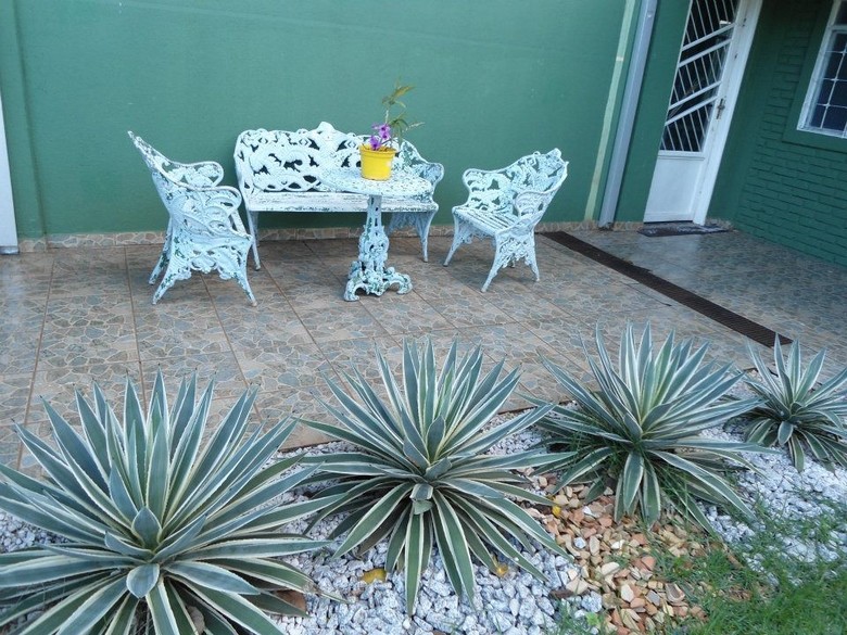 Hotel Green House Hostel