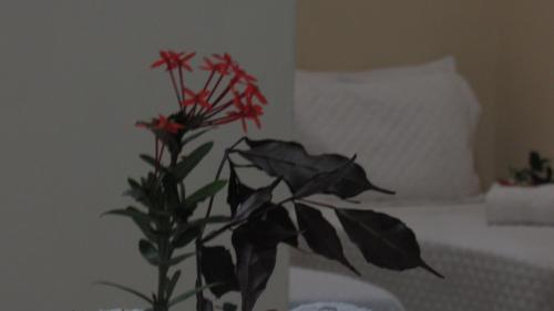 Hostal Flor De Trancoso