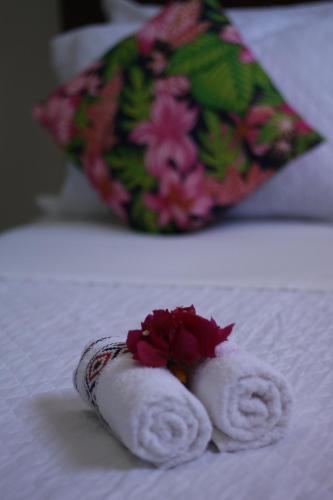 Hostal Flor De Trancoso
