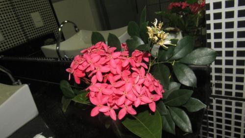 Hostal Flor De Trancoso