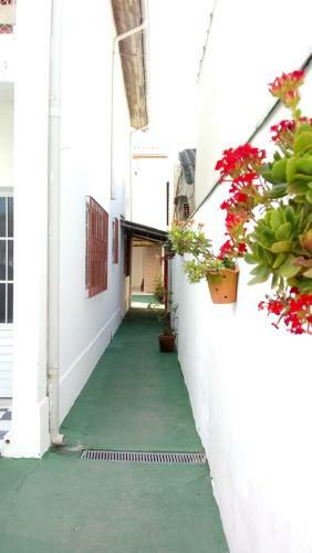 Apartamento Casa Dos Av�s