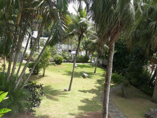 Apartamento Apto 711
