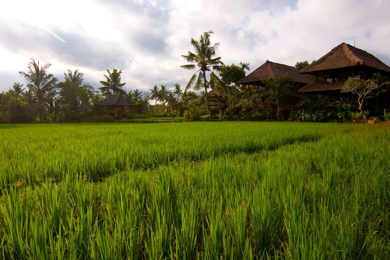 Hotel Agung Raka Bungalows