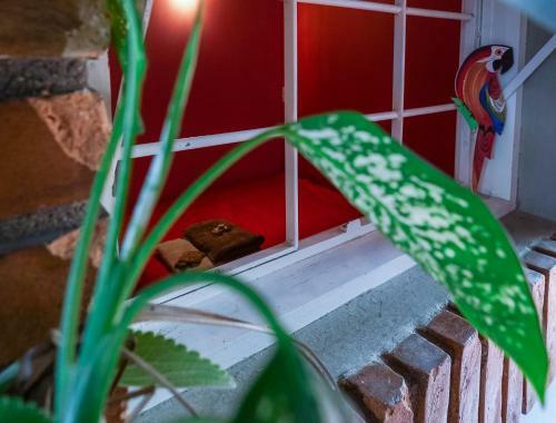 Hostel Tr�pico De Capric�rnio - Itagu�