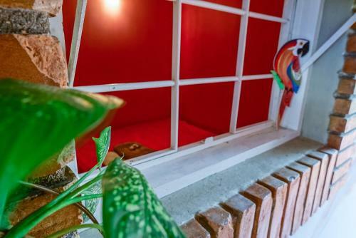 Hostel Tr�pico De Capric�rnio - Itagu�
