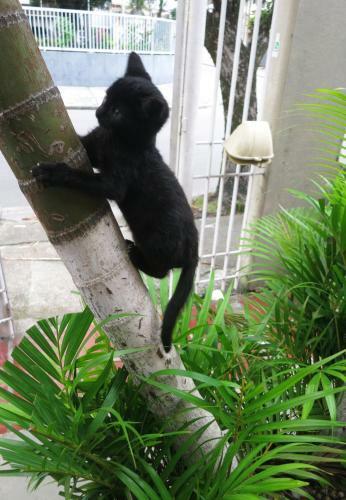 Hostel Tr�pico De Capric�rnio - Itagu�