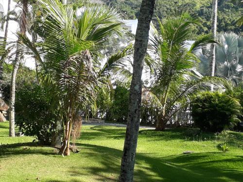 Apartamento Apto 708