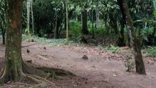 Recanto Encantado Ubatumirim
