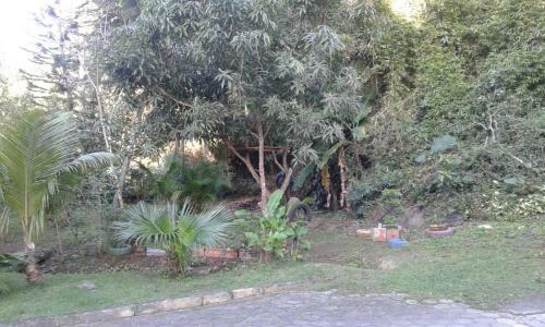 Apartamento Temporada Praia Grande