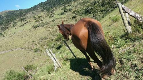 Hostal Hospedaria Rural Recanto Do Sossego