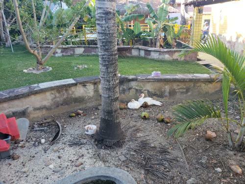 Itaparica - Vera Cruz