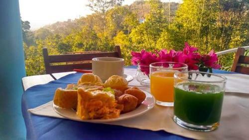 Hotel Pousada Apice