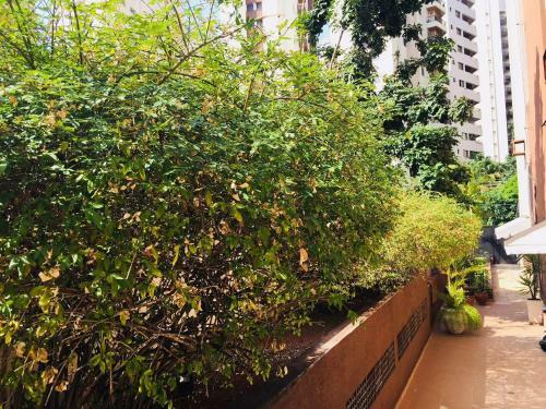 Apartamento Duplex Moema Ao Lado Do Parque