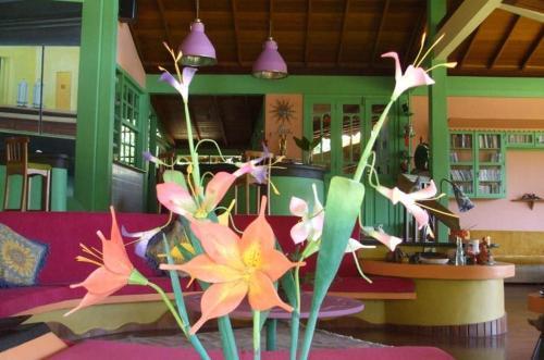 Posada Eco Resort Nagual