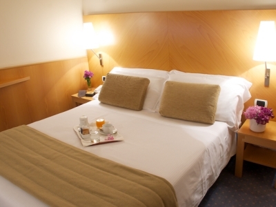 Hotel Executive