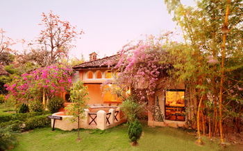 Hotel Tuli Tiger Resort