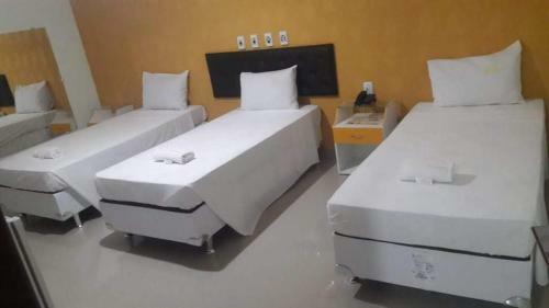 Hotel Alian�a