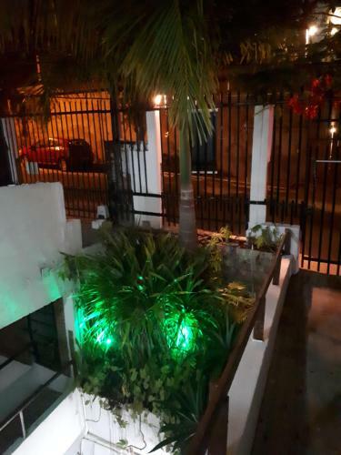 Casa De Arigoffe