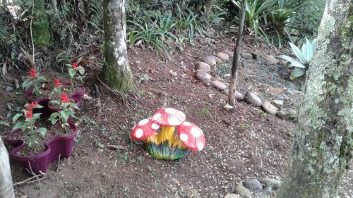 Casa Com Jardins Varandas Do Quitandinha