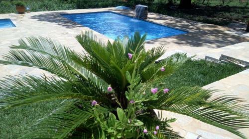 Chal�s E Su�tes Verde Do Mato