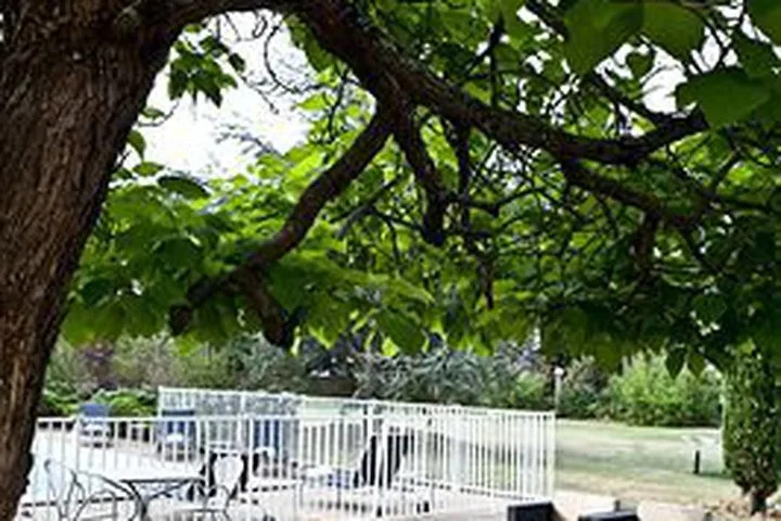 Hotel Novotel St Etienne A�roport