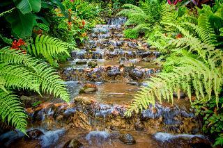Chachagua Rainforest Hotel & Hacienda