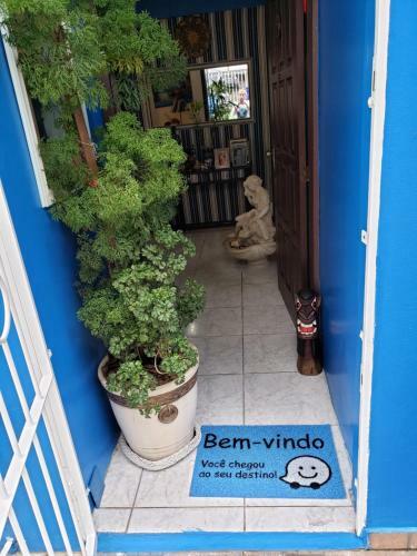 Casa Blue