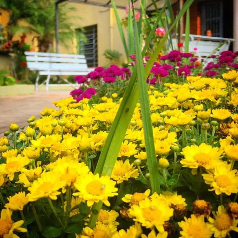 Hostal Pousada Convento S�o Louren�o