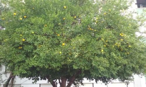 Apartamento Aconchegante
