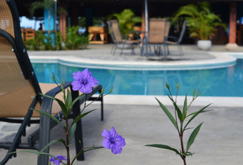Hotel Morgan's Cove Resort & Casino