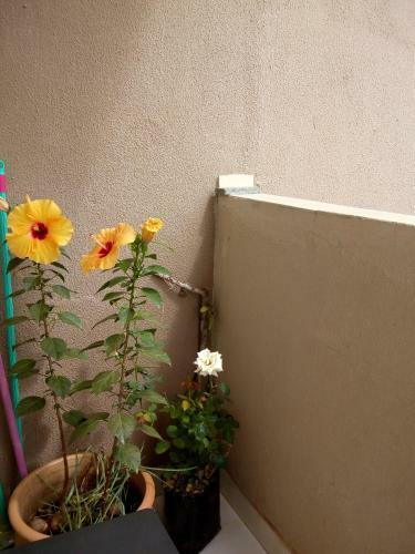 Apartamento No Lindo Horizonte