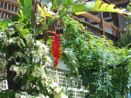 Hostal Pousada Mara E Claude Ltda