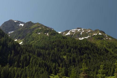 Bed & Breakfast Chalet Dei Fiori