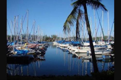 Apartamento Bracuhy Studio Marina