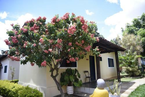 Rosa Spa E Hotel